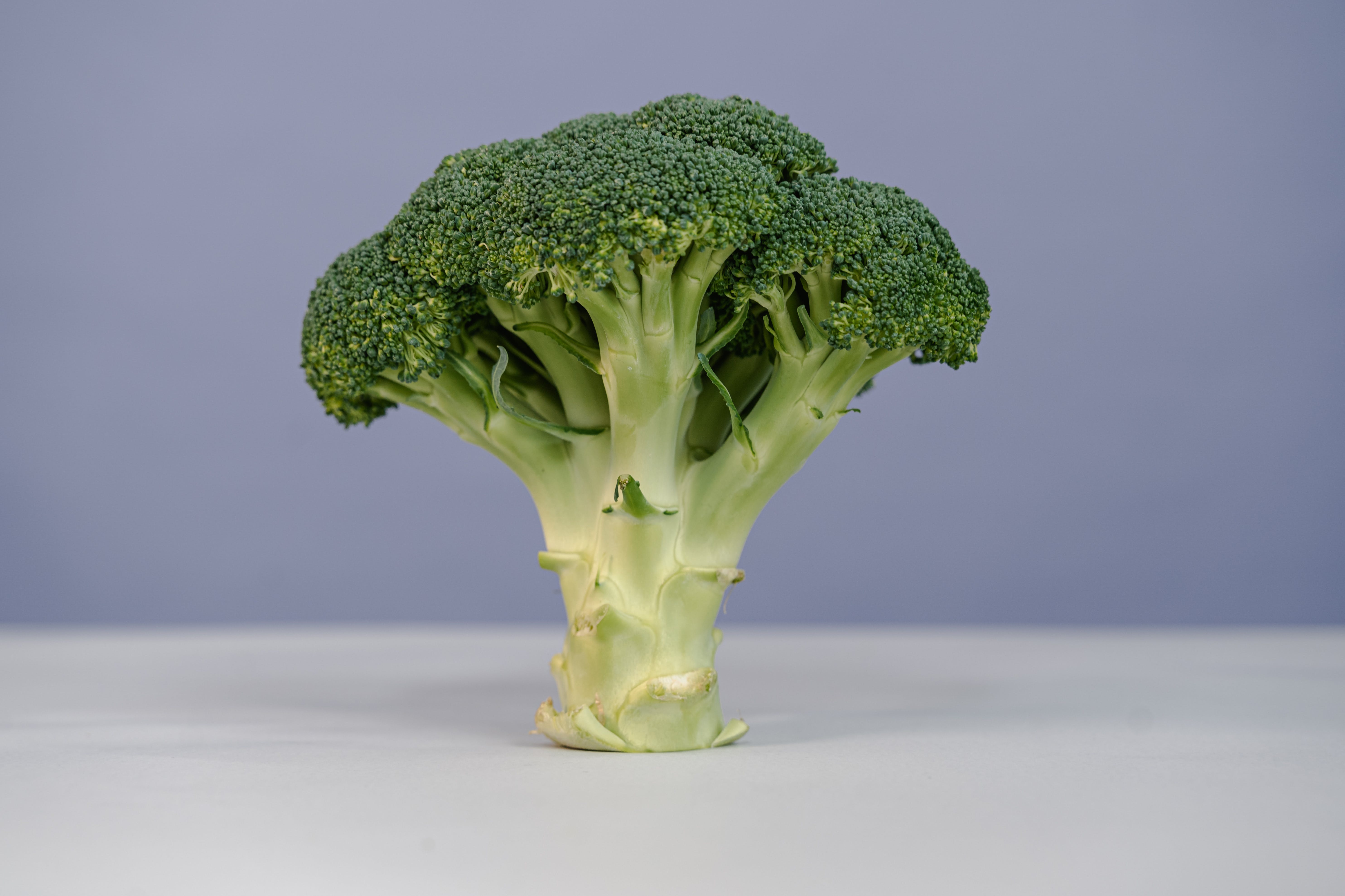 Broccoli