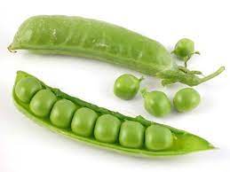 Pea