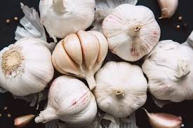 Garlic