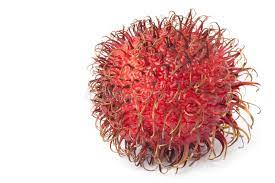 Rambutan