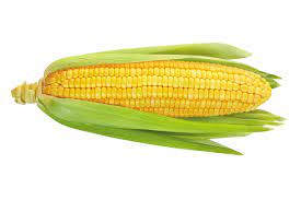 Corn